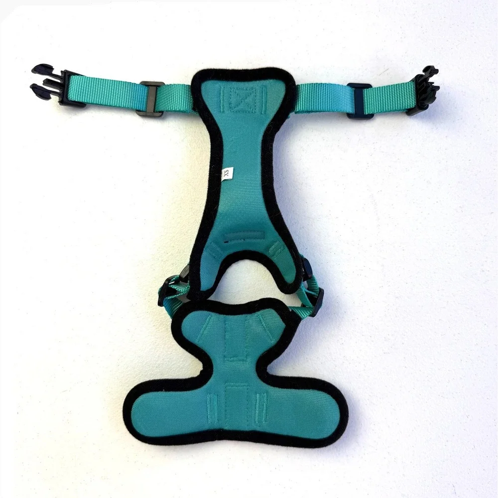 Rabbitgoo Dog Harness XS Teal No Pull Reflective Mesh Adjustabl Walking Vest Pet
